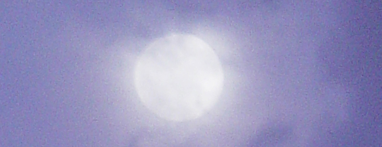 "PR Treehouse, Yunque Hotel, PR Rainforest Hotel, PR Eco Resort, PR Ecolodge, Yunque Lodging and PR Glamping"