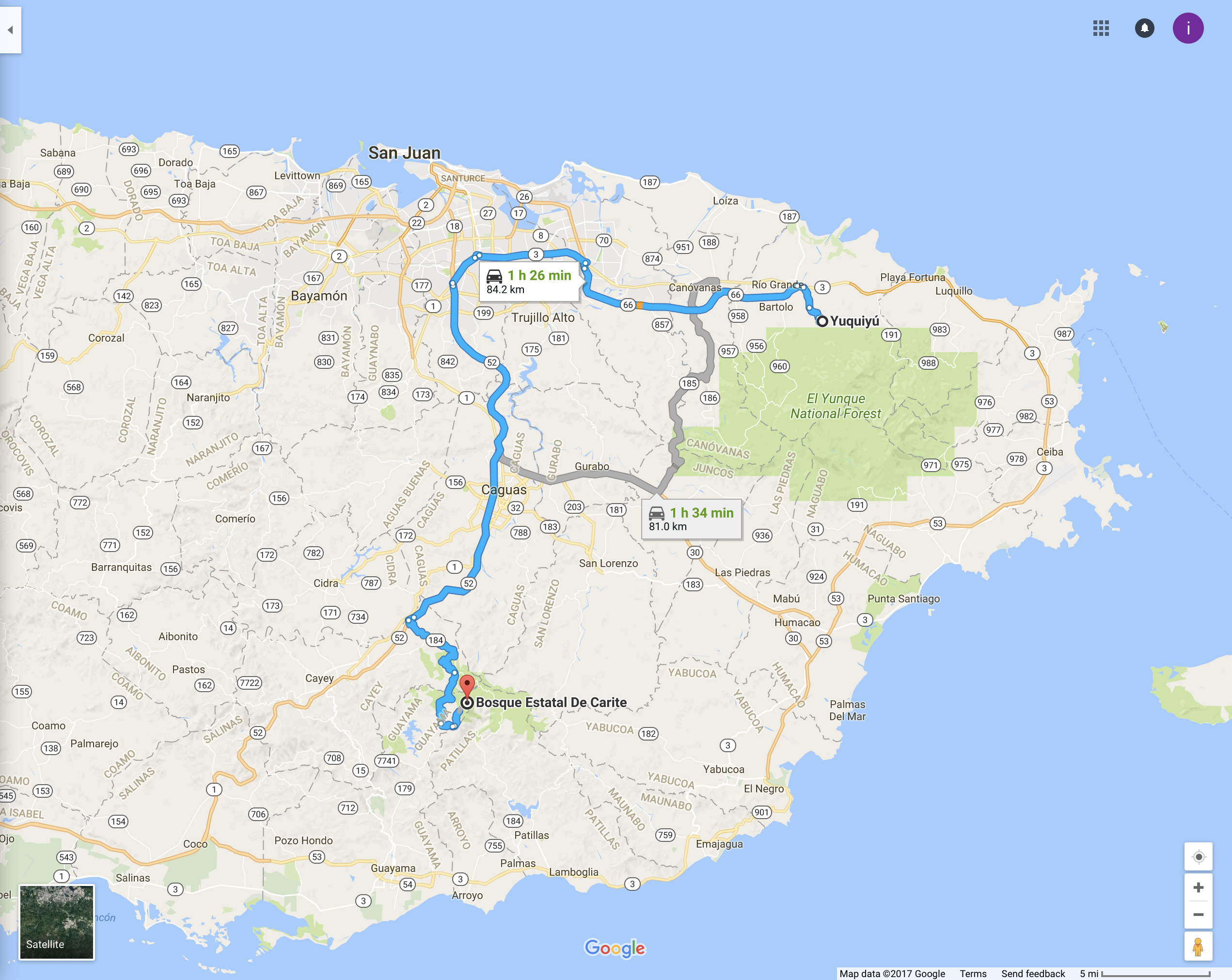 "PR Treehouse, Yunque Hotel, PR Rainforest Hotel, PR Eco Resort, PR Ecolodge, Yunque Lodging and PR Glamping"