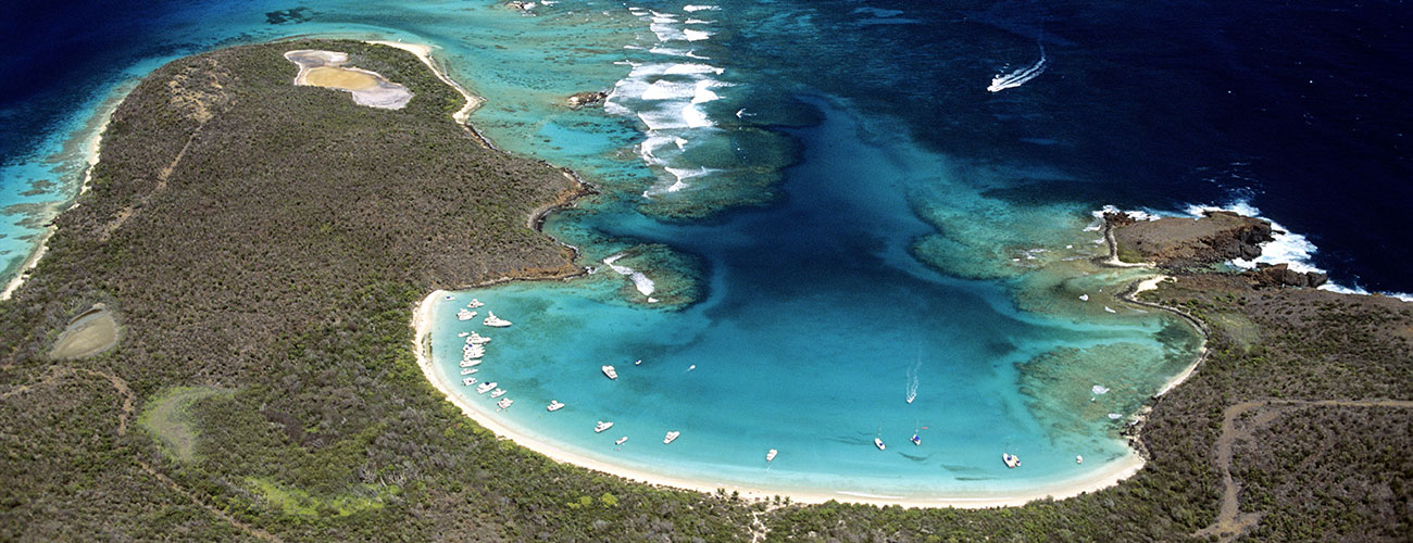 "PR Treehouse, Yunque Hotel, PR Rainforest Hotel, PR Eco Resort, PR Ecolodge, Yunque Lodging and PR Glamping"