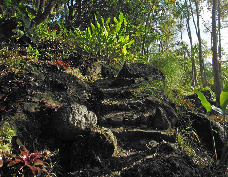 "PR Treehouse, Yunque Hotel, PR Rainforest Hotel, PR Eco Resort, PR Ecolodge, Yunque Lodging and PR Glamping"