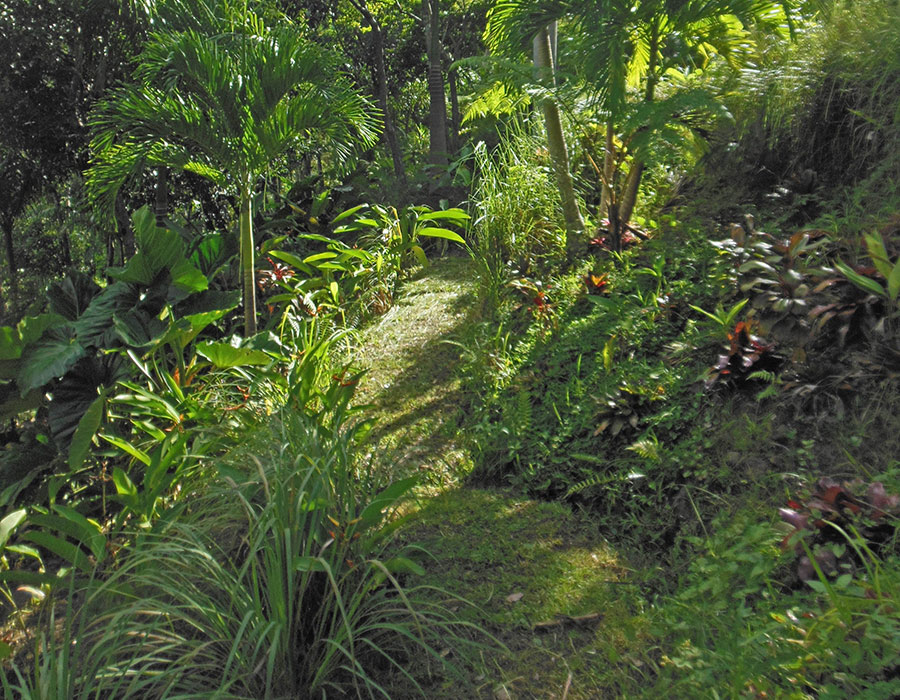 "PR Treehouse, Yunque Hotel, PR Rainforest Hotel, PR Eco Resort, PR Ecolodge, Yunque Lodging and PR Glamping"