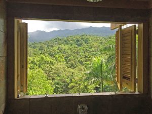"PR Treehouse, Yunque Hotel, PR Rainforest Hotel, PR Eco Resort, PR Ecolodge, Yunque Lodging and PR Glamping"