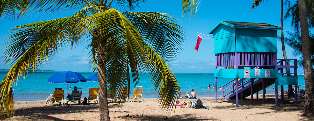 PR Treehouse, Yunque Hotel, PR Rainforest Hotel, PR Eco Resort, PR Ecolodge, Yunque Lodging and PR Glamping