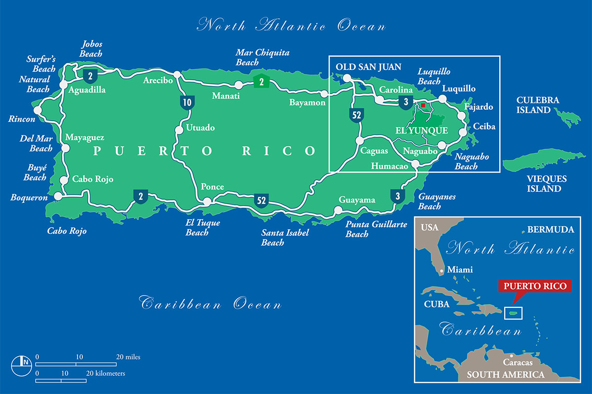 PR Treehouse, Yunque Hotel, PR Rainforest Hotel, PR Eco Resort, PR Ecolodge, Yunque Lodging and PR Glamping