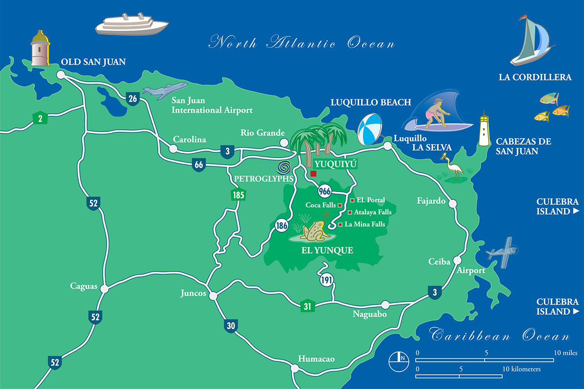 PR Treehouse, Yunque Hotel, PR Rainforest Hotel, PR Eco Resort, PR Ecolodge, Yunque Lodging and PR Glamping